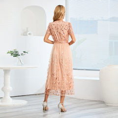 Embroidered Bright Yarn Mesh DressSlim Fit V neck Mid Length Dress