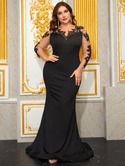 Plus Size Prom Evening Dress Mesh Lace Floral Maxi Dress Long Sleeve Elegant Graceful Fishtail Evening Gown