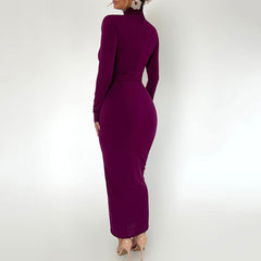 Half High Collar Long Sleeves Dress Elegant Bodycon Maxi Dress for