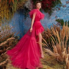 Solid Color One Shoulder Mesh Trailing Cocktail Slim Fit Sheath Evening Dress Two Piece Set