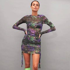 Mesh Printed Pleating Dress