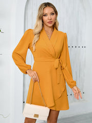 Elegant Graceful Long Sleeved Collared Beveled Hem Dress