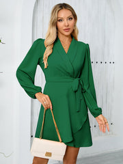 Elegant Graceful Long Sleeved Collared Beveled Hem Dress