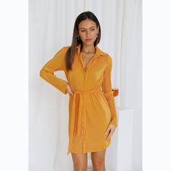 Solid Color Pleated Single Breasted Shirt Dress