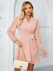 Elegant Graceful Long Sleeved Collared Beveled Hem Dress