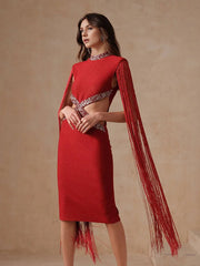 Fringe Sleeve Tassel Sequined Midi Dress