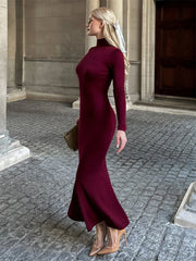 Turtleneck Maxi Dress