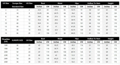 Floral Embroidered Tulle Prom Dresses with Feather