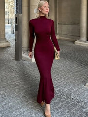 Turtleneck Maxi Dress