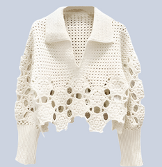 Crochet Long Sleeve Top