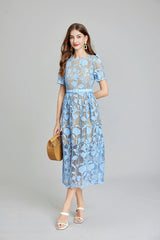 Solid Lace Daily Elegant A Line Maxi Dress