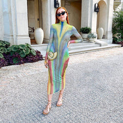 Fall Mesh See through Turtleneck Long Sleeve Slim Fit High Waist Length Dress