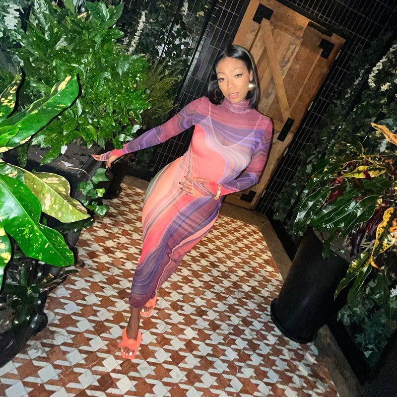 Fall Mesh See through Turtleneck Long Sleeve Slim Fit High Waist Length Dress