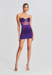 Purple Spaghetti Strap Short Dress Party Gown