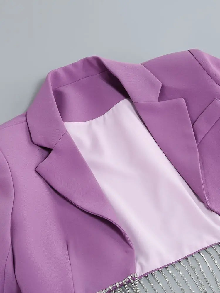 Purple Tassel Skirt and Long Sleeve Jacket Set