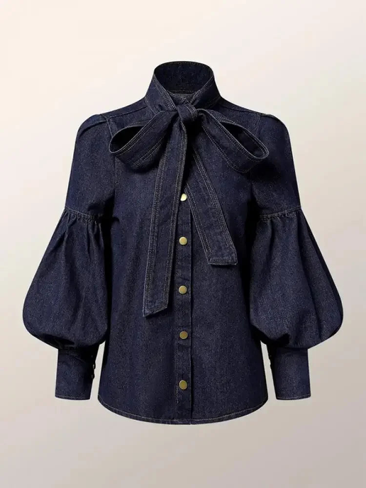 Denim Puff Sleeve High Neck Top