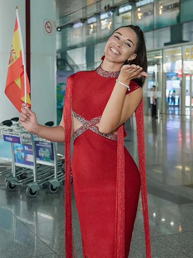 Fringe Sleeve Tassel Sequined Midi Dress