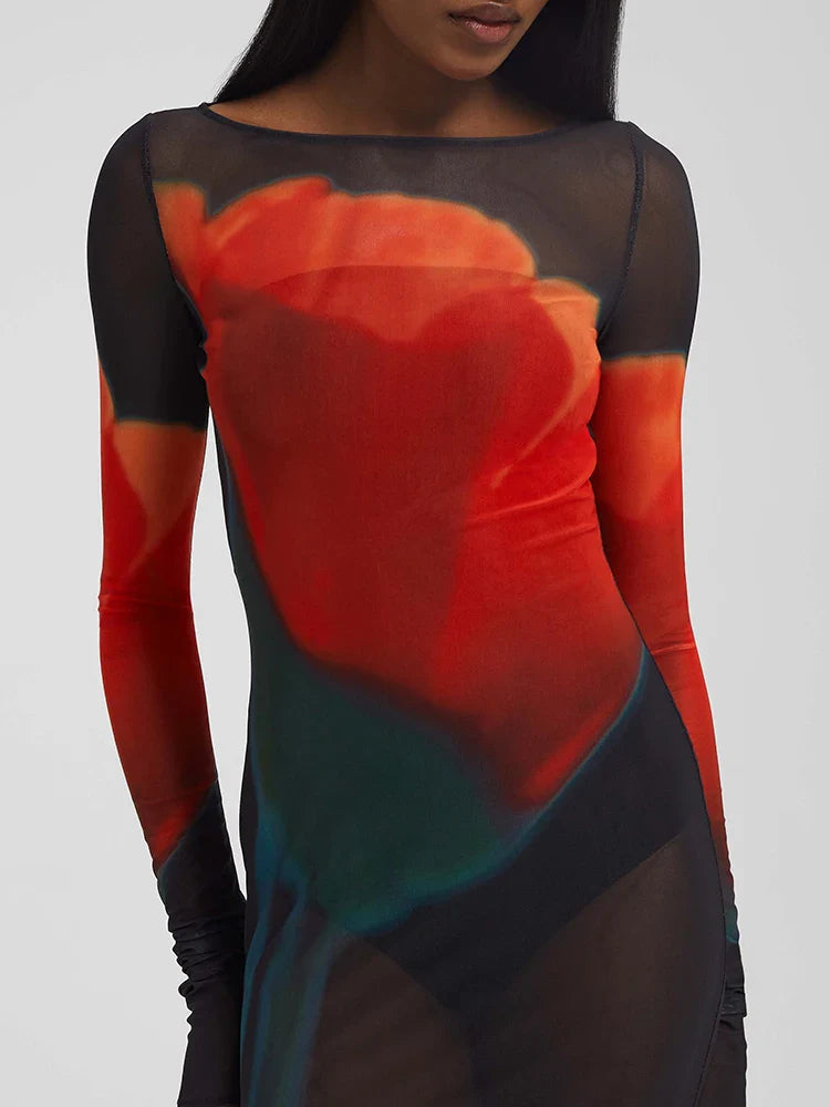 Mesh Sheer Long Sleeve Printed Dress
