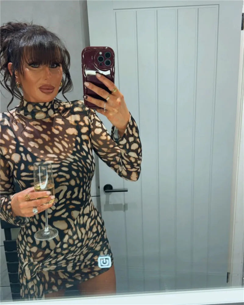 Mesh Leopard Print Turtleneck Mini Dress