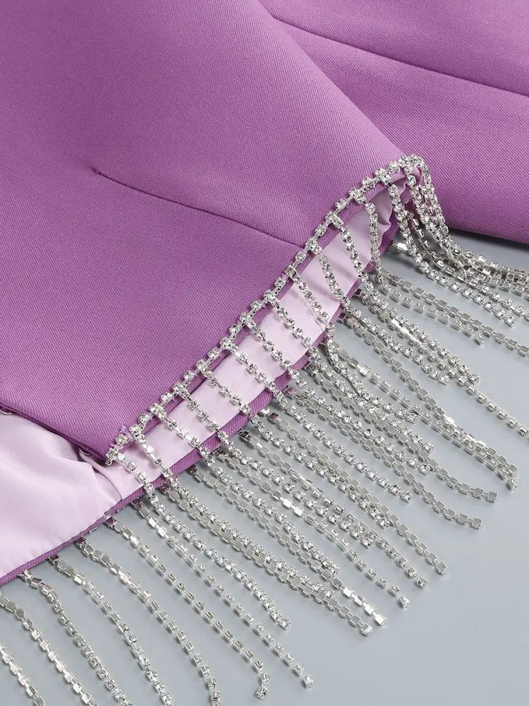 Purple Tassel Skirt and Long Sleeve Jacket Set