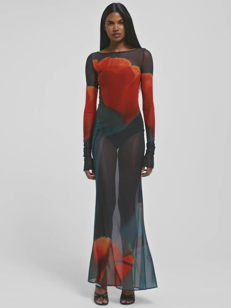 Mesh Sheer Long Sleeve Printed Dress