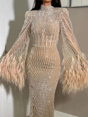 Feather Embellished Evening Gown with Long Sleeves