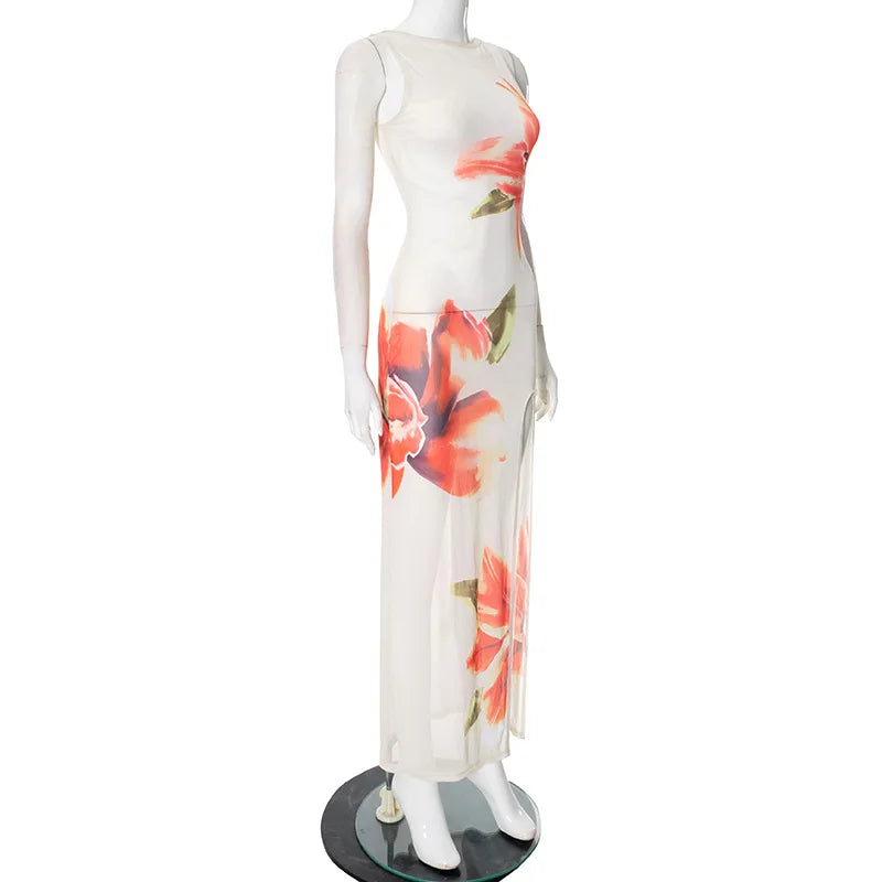 Sleeveless Floral Print Long Mesh Dress