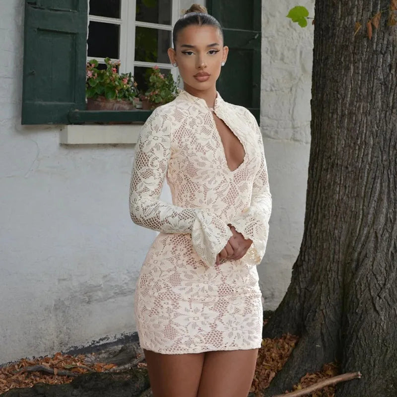 Lace Printed Hollow Out Long Sleeve Dress